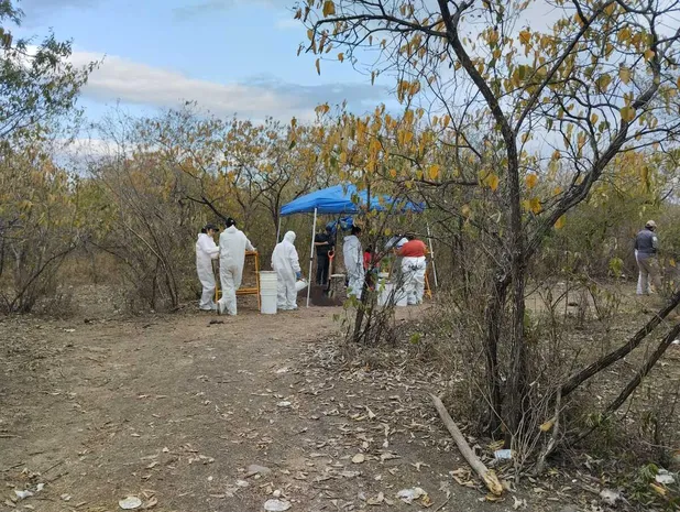 Colectivos de búsqueda y autoridades identificaron los cuerpos 