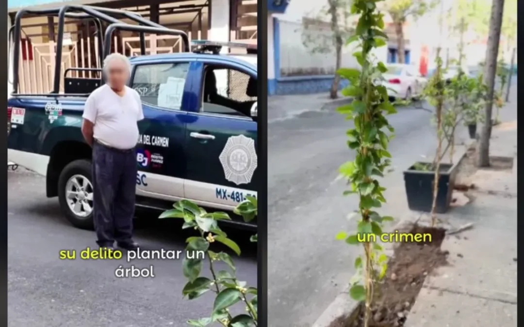 Adultos mayores