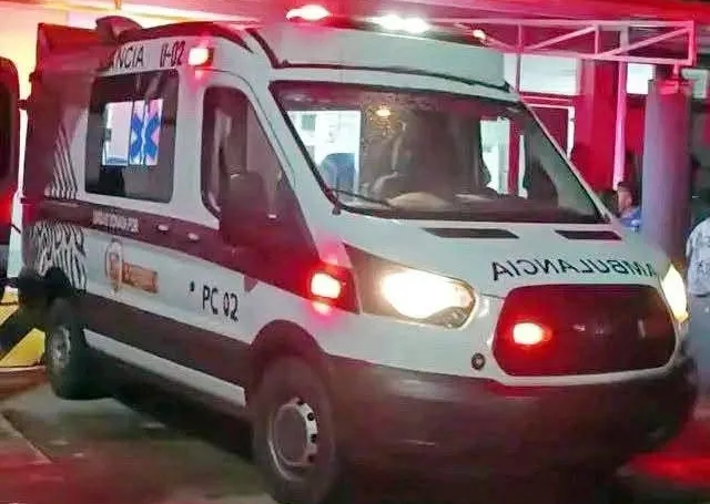 Lo mordió una víbora venenosa y murió cuatro días después; caso conmociona a Las Choapas
